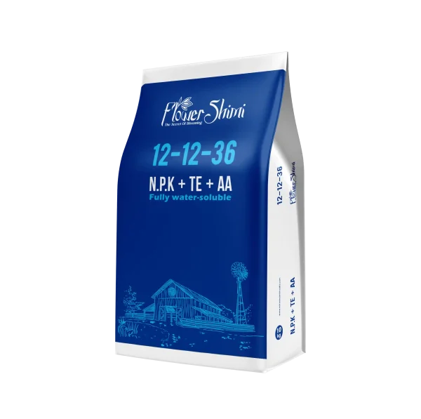 12-12-36+TE+AA